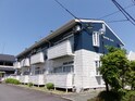 セントラルカーサ