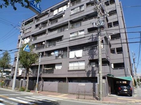 筒井ハイツ南館外観写真