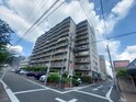 桜山アイリス
