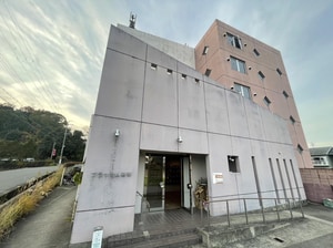 ブラッサム精華外観写真