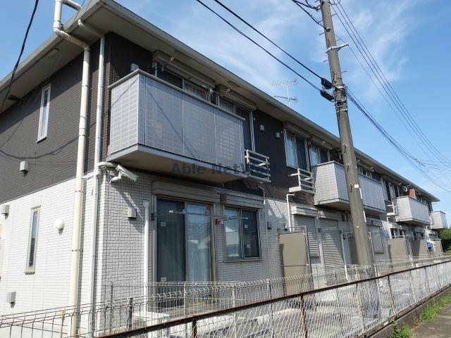 SAKURA （サクラ）