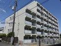 カステル辰巳台