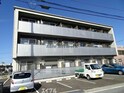 ルピナス