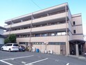 パステルエイトⅡ