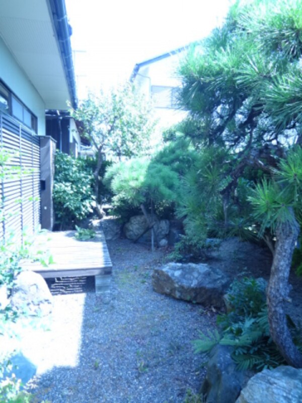 庭