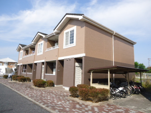 ゴールドパディーⅤ