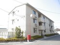 ヴァンサンカン