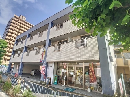 ダイナックⅤ外観写真