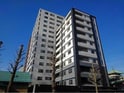 リーベン　219