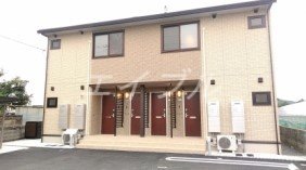 シンシアナガセ