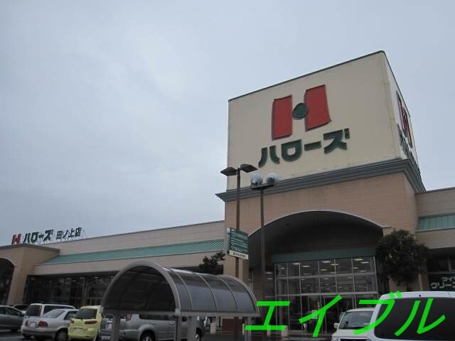 ハローズ田ノ上店