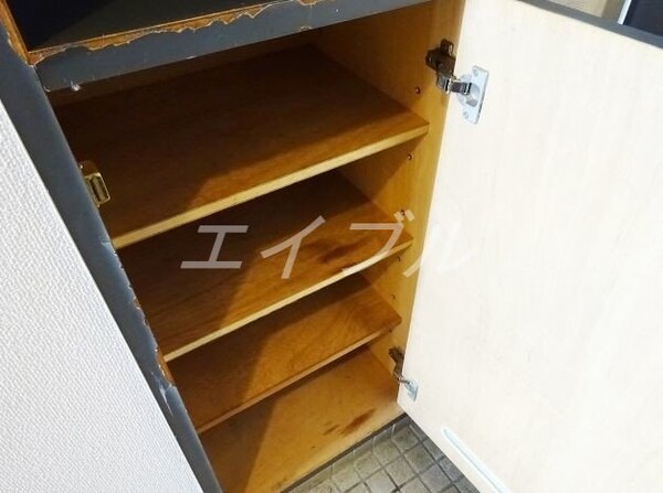 玄関(同物件別部屋の写真です)