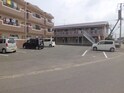 ウィン伊東