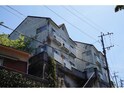 ヴァンティアン上戸