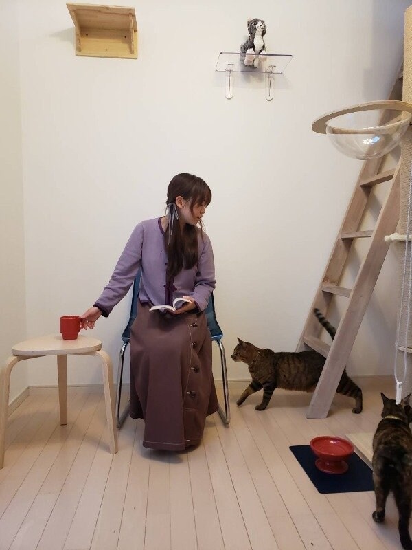 物件内観写真34　(猫と暮らせます♪)