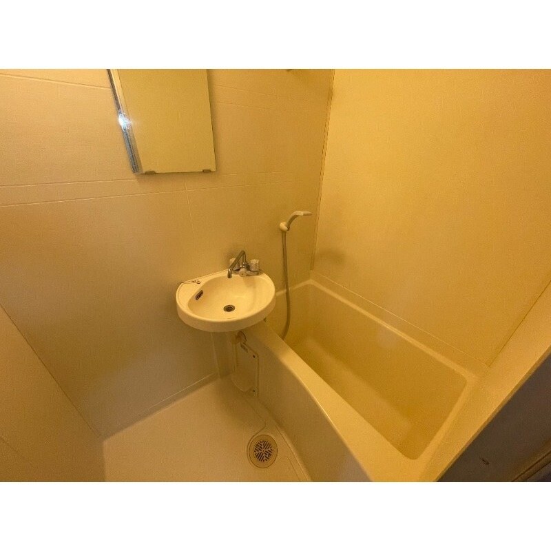 物件内観写真9　(※反転タイプのお部屋です)