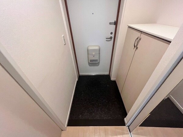 玄関(※別号室の写真です)