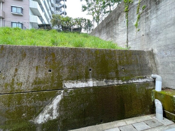 眺望(※別号室の写真になります。)