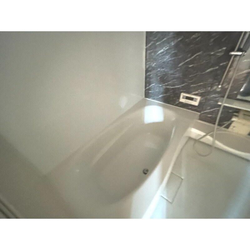 物件内観写真9　(※別号室の写真になります)