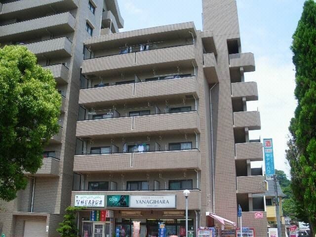 びーの柳原