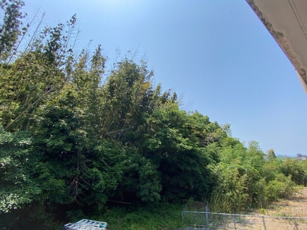 眺望(※別号室の写真になります。)