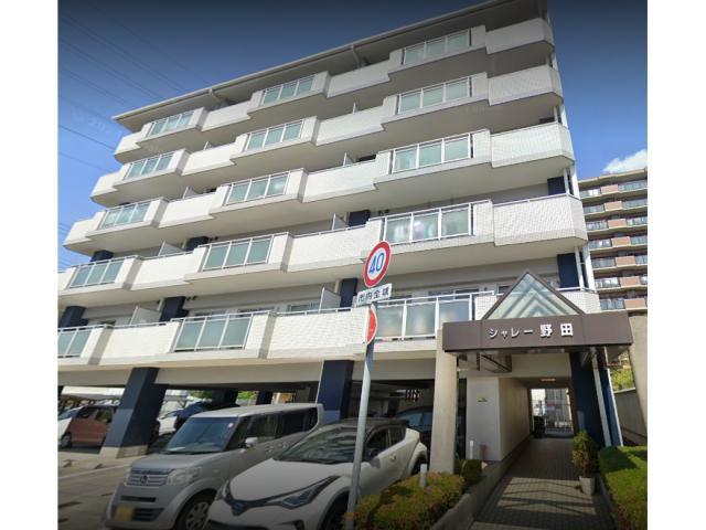 シャレ―野田
