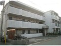メトレス野里