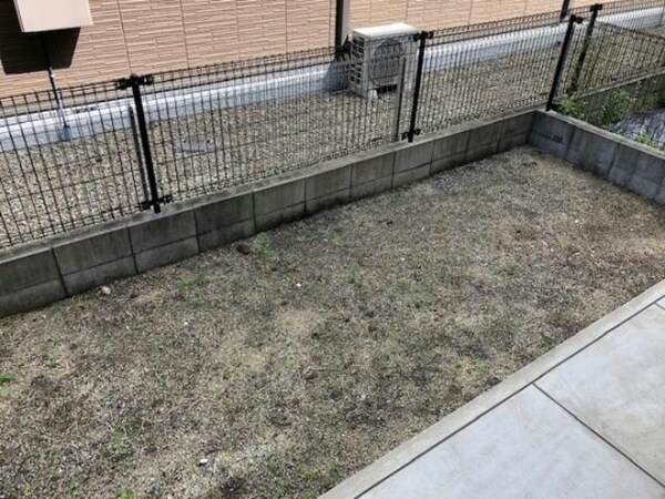 庭