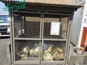 アルテミス　Ｂ