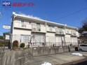 タウニーパインツリー