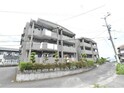 ペイサージュ濵島