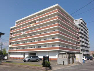 E-FLAT