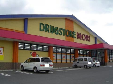 ドラッグストアモリ高木瀬店