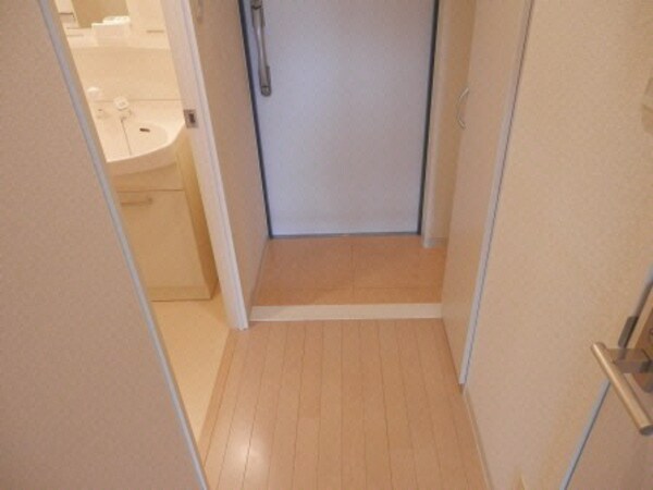 玄関回り(玄関)