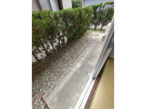庭
