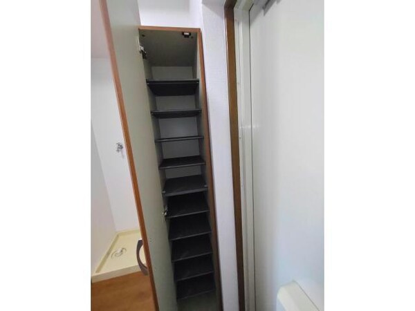 玄関回り(シューズボックス)