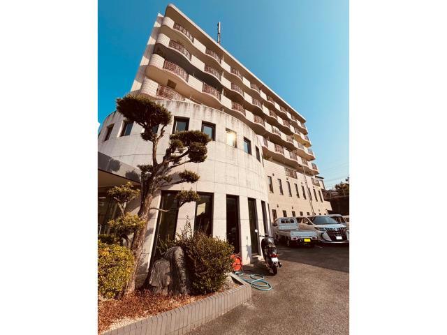アイビークロス