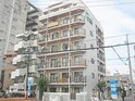 ドール東海通