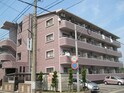 サザンクロス