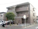 サニーコート坂野