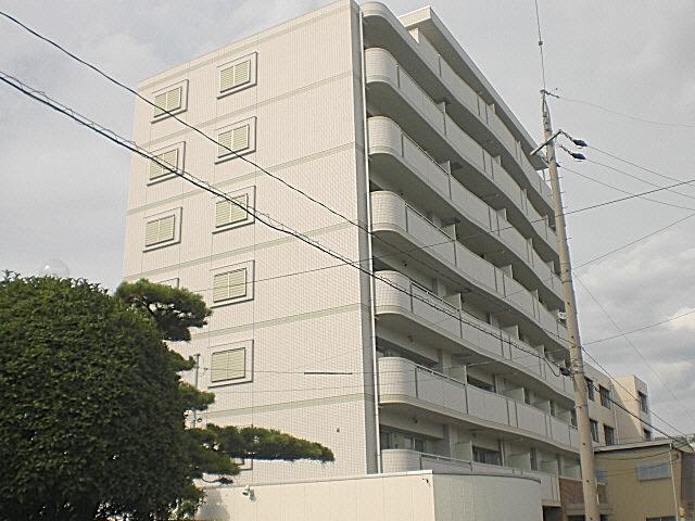 ホワイト ドエル 道徳