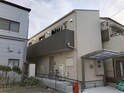 SAKURA辰己