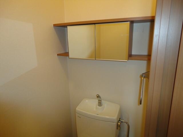 物件内観写真19　(トイレ鏡付収納)