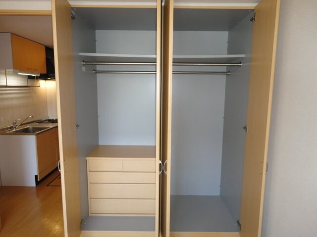 物件内観写真4　(クローゼット（同タイプ）)