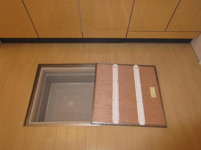 物件内観写真21　(床下収納)