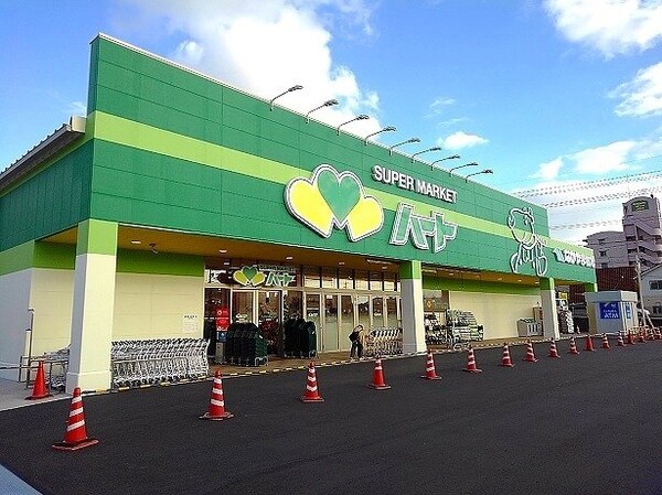 周辺環境(ハート新徳田店まで700m)