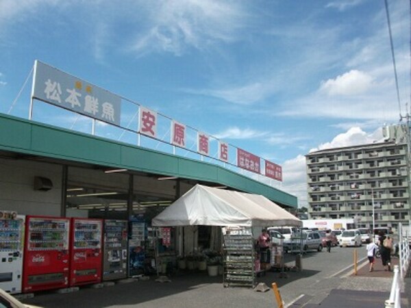 周辺環境