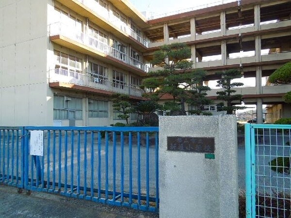 周辺環境(新涯小学校まで1000m)