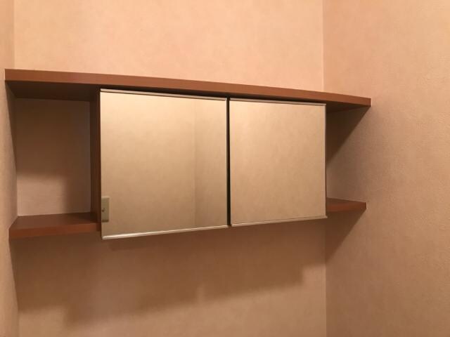 物件内観写真12　(トイレ収納)
