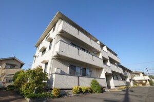 ラグジュアリ新涯　A棟外観写真